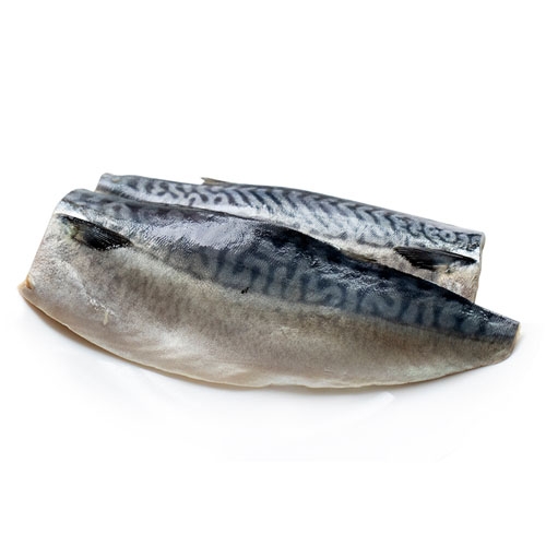 魚類
